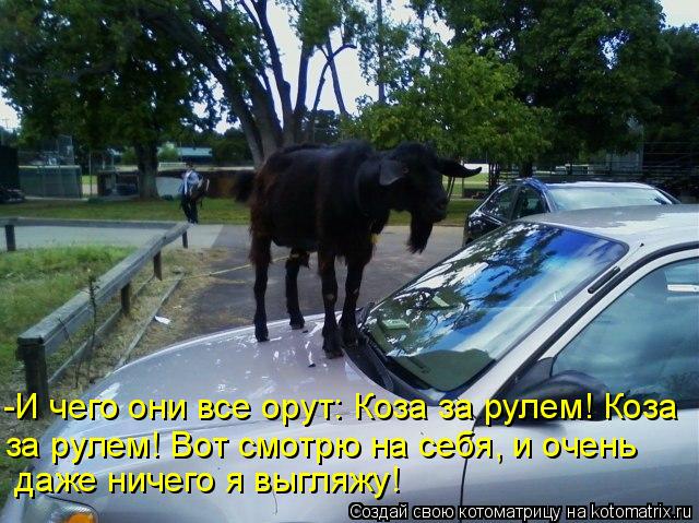 -И чего они все орут: Коза за рулем! Коза за рулем! Вот смотрю на себя, и очень даже ничего я выгл... Котоматрица: -И чего они все орут: Коза за рулем! Коза за рулем! Вот смотрю на себя, и очень даже ничего я выгляжу!