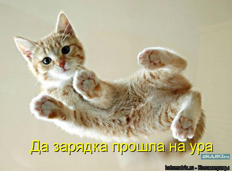 Да зарядка прошла на ура... Котоматрица: Да зарядка прошла на ура