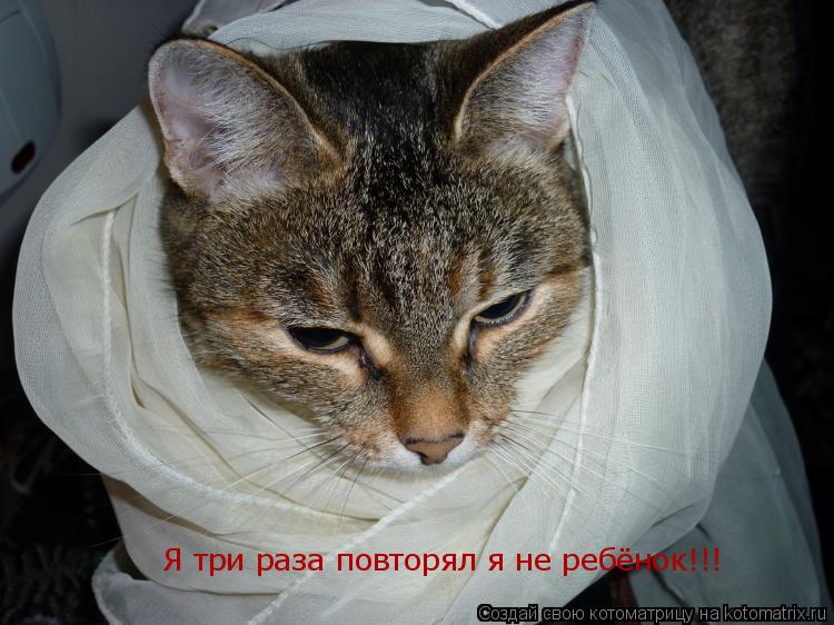 Я три раза повторял я не ребёнок!!!... Котоматрица: Я три раза повторял я не ребёнок!!!