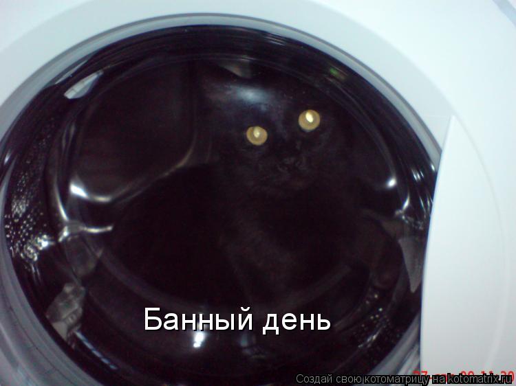 Банный день... Котоматрица: Банный день
