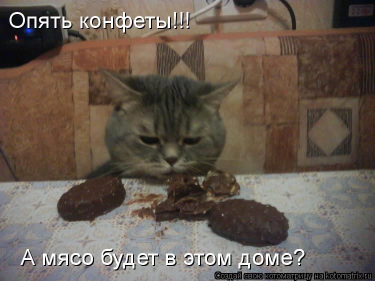 Опять конфеты!!! А мясо будет в этом доме? А мясо будет в этом доме?... Котоматрица: Опять конфеты!!! А мясо будет в этом доме? А мясо будет в этом доме?
