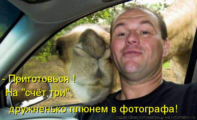 На "счёт три", дружненько плюнем в фотографа! - Приготовься !... Котоматрица: На "счёт три", дружненько плюнем в фотографа! - Приготовься !