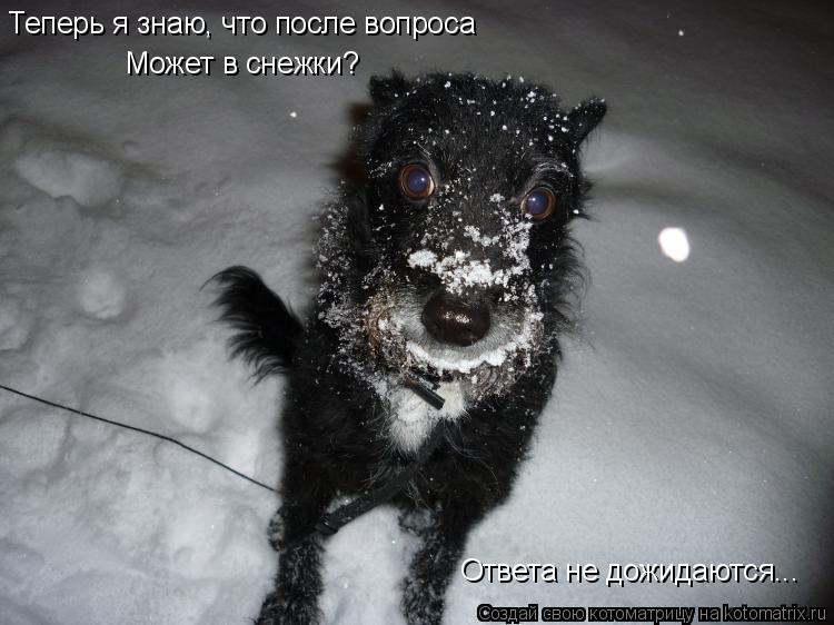Теперь я знаю, что после вопроса Может в снежки? Ответа не дожидаются...... Котоматрица: Теперь я знаю, что после вопроса Может в снежки? Ответа не дожидаются...