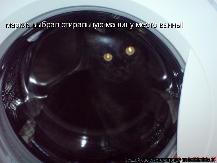 маркиз выбрал стиральную машину место ванны!... Котоматрица: маркиз выбрал стиральную машину место ванны!