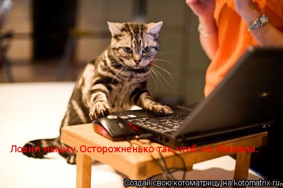 Ловим мышку.Осторожненько так,чтоб не сбежала.... Котоматрица: Ловим мышку.Осторожненько так,чтоб не сбежала.