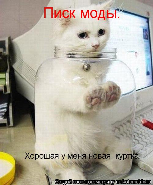Хорошая у меня новая куртка. Писк моды.... Котоматрица: Хорошая у меня новая куртка. Писк моды.