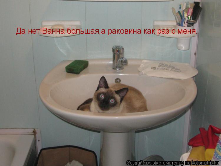Да нет!Ванна большая,а раковина как раз с меня.... Котоматрица: Да нет!Ванна большая,а раковина как раз с меня.