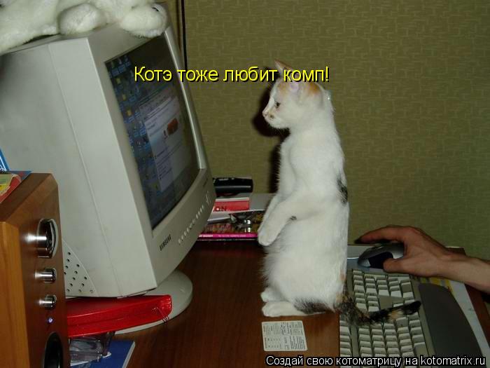 Котэ тоже любит комп!... Котоматрица: Котэ тоже любит комп!