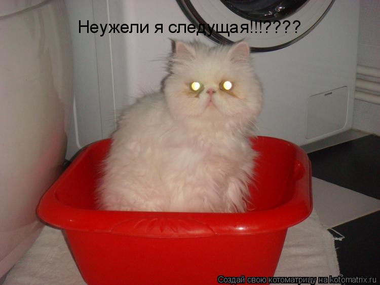 Неужели я следущая!!!????... Котоматрица: Неужели я следущая!!!????
