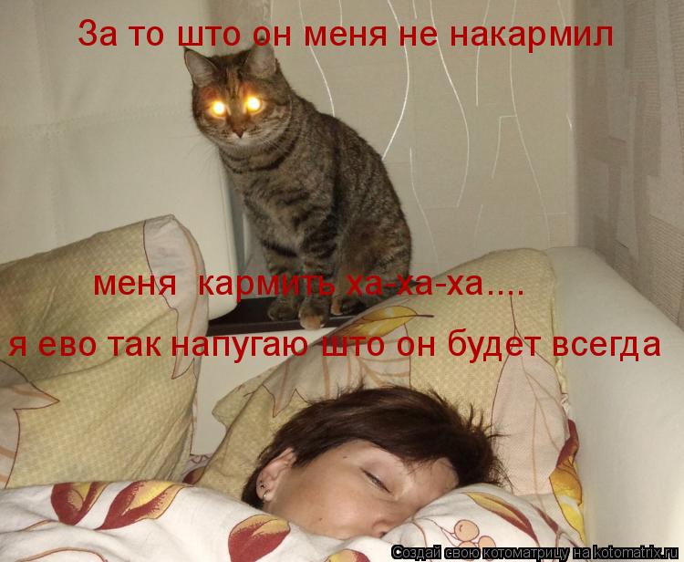 За то што он меня не накармил я ево так напугаю што он будет всегда меня кармить ха-ха-ха....... Котоматрица: За то што он меня не накармил я ево так напугаю што он будет всегда меня кармить ха-ха-ха....