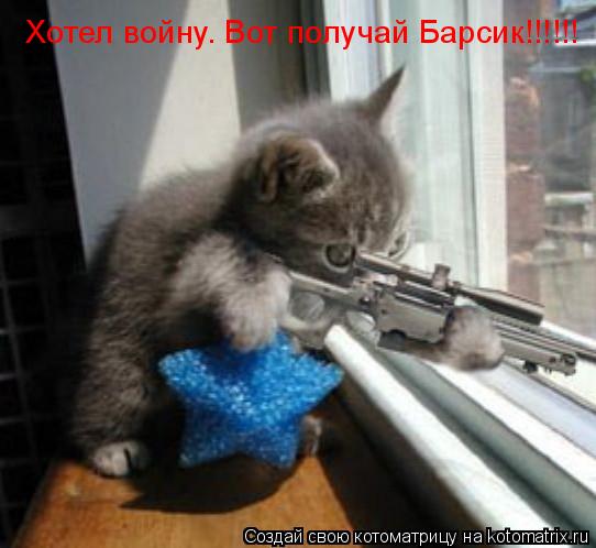Котоматрица: Хотел войну. Вот получай Барсик!!!!!!