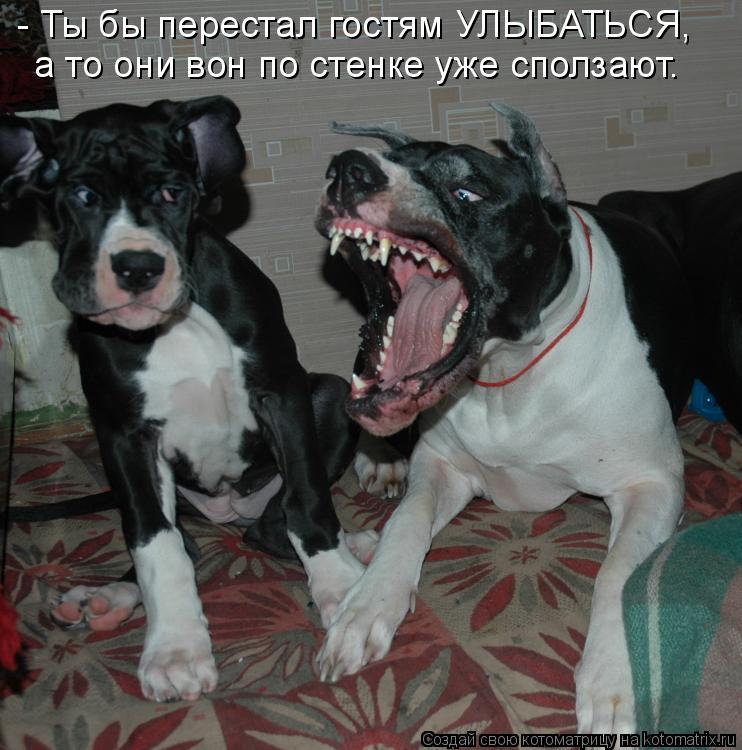 - Ты бы перестал гостям УЛЫБАТЬСЯ, а то они вон по стенке уже сползают.... Котоматрица: - Ты бы перестал гостям УЛЫБАТЬСЯ, а то они вон по стенке уже сползают.