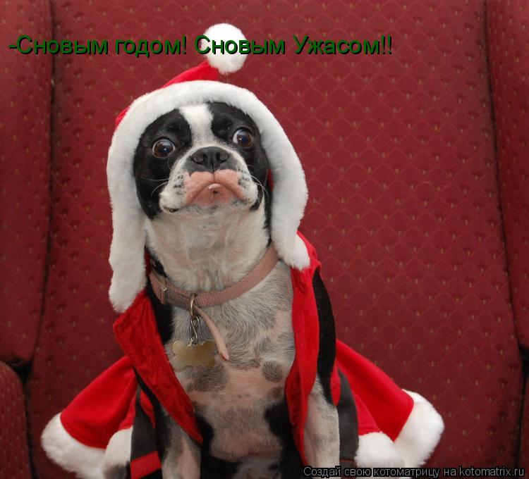 Котоматрица: -Сновым годом! Сновым Ужасом!!