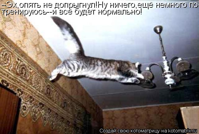 Котоматрица: --Эх,опять не допрыгнул!Ну ничего,ещё немного по- тренируюсь--и всё будет нормально!