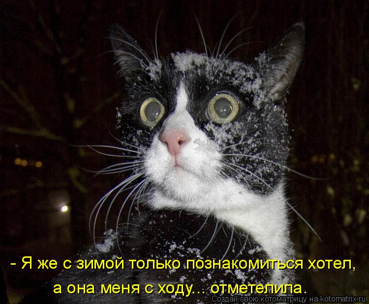 - Я же с зимой только познакомиться хотел, а она меня с ходу... отметелила.... Котоматрица: - Я же с зимой только познакомиться хотел, а она меня с ходу... отметелила.
