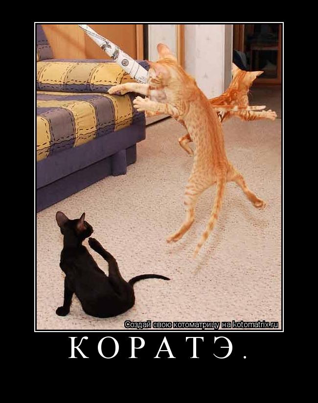 Коратэ. ... Котоматрица: Коратэ.