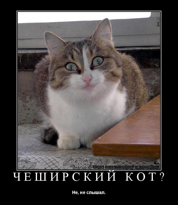 Чеширский кот? Не, не слышал.... Котоматрица: Чеширский кот? Не, не слышал.