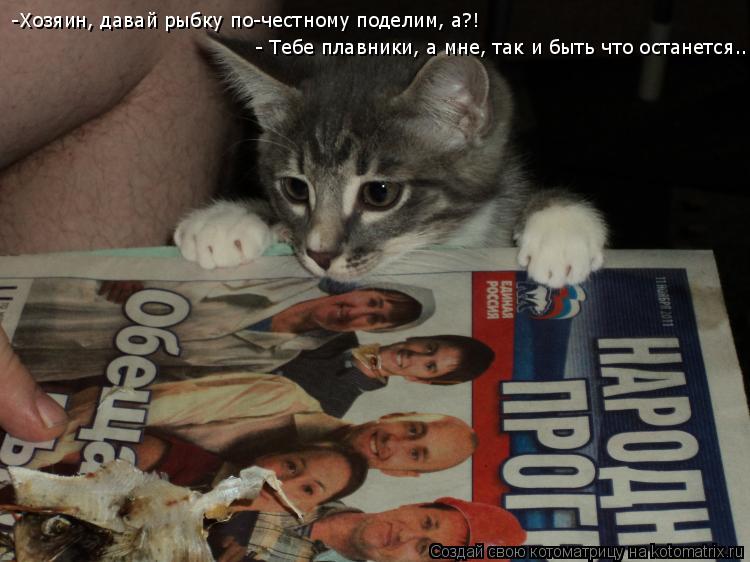 Котоматрица: -Хозяин, давай рыбку по-честному поделим, а?! - Тебе плавники, а мне, так и быть что останется...