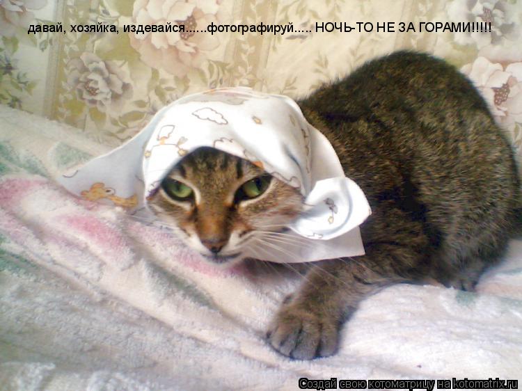 Котоматрица: давай, хозяйка, издевайся......фотографируй..... НОЧЬ-ТО НЕ ЗА ГОРАМИ!!!!!