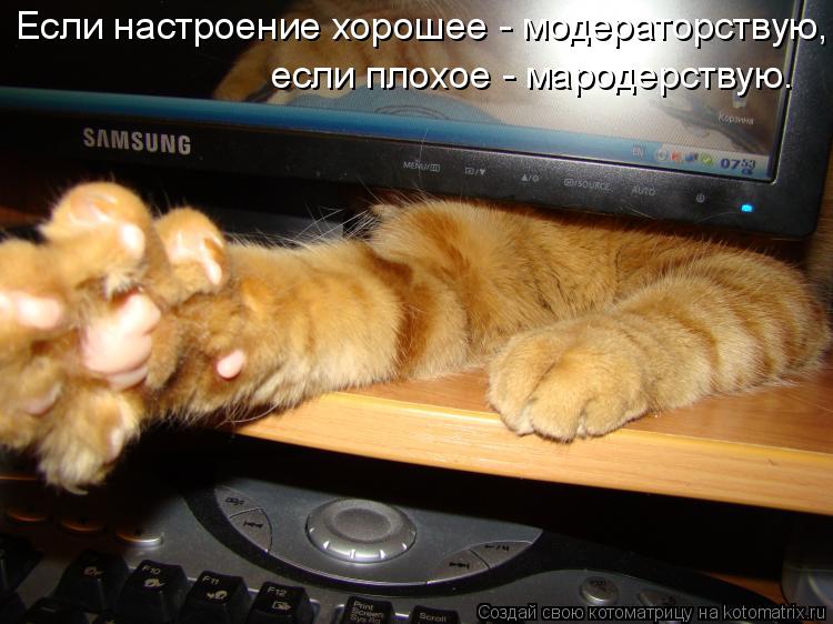 Если настроение хорошее - модераторствую, если плохое - мародерствую.... Котоматрица: Если настроение хорошее - модераторствую, если плохое - мародерствую.