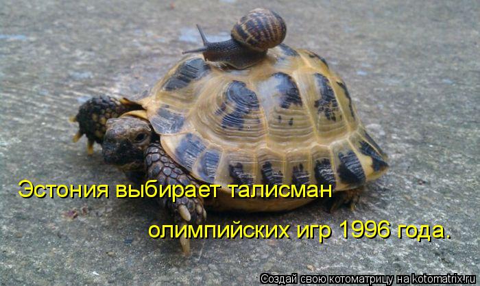 Котоматрица: Эстония выбирает талисман  олимпийских игр 1996 года.