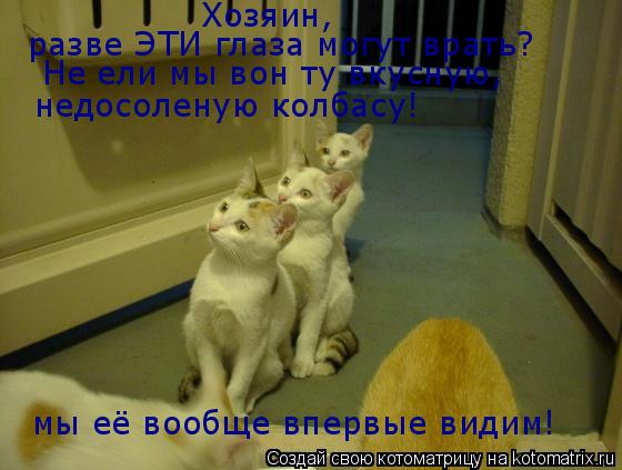 Котоматрица: Хозяин, разве ЭТИ глаза могут врать? мы её вообще впервые видим! Не ели мы вон ту вкусную, недосоленую колбасу!