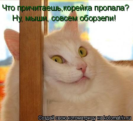 Котоматрица: Что причитаешь,корейка пропала? Ну, мыши, совсем оборзели!