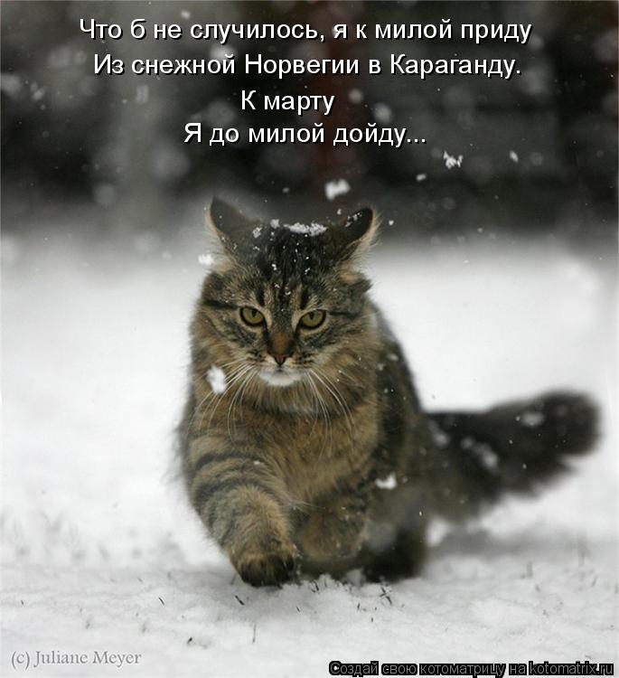 Что б не случилось, я к милой приду Из снежной Норвегии в Караганду. К марту Я до милой дойду...... Котоматрица: Что б не случилось, я к милой приду Из снежной Норвегии в Караганду. К марту Я до милой дойду...