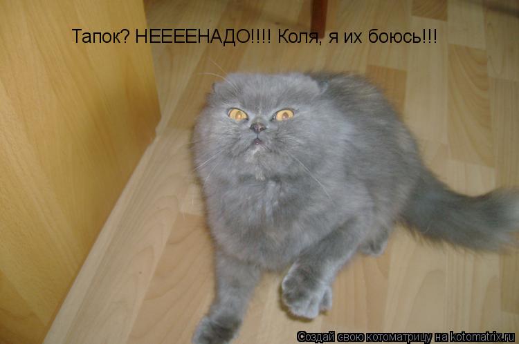 Котоматрица: Тапок? НЕЕЕЕНАДО!!!! Коля, я их боюсь!!!