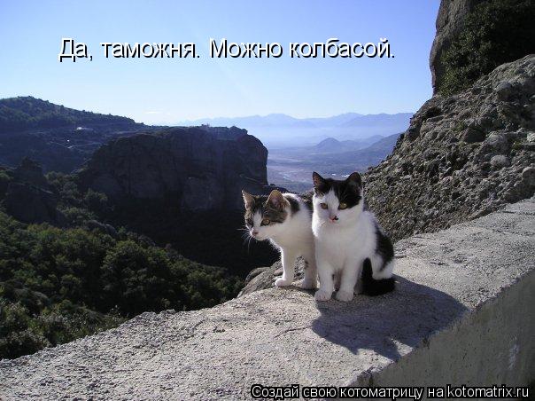 Котоматрица: Да, таможня. Можно колбасой.