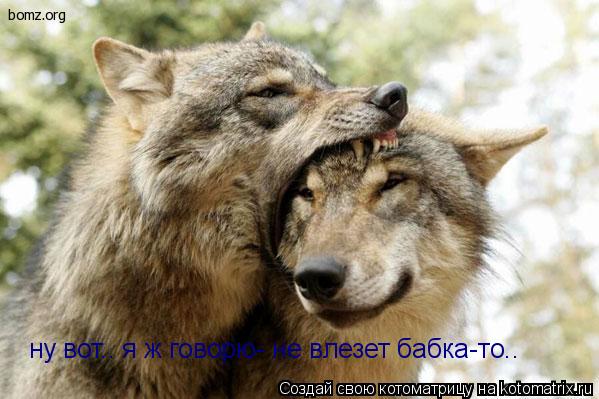 Котоматрица: ну вот.. я ж говорю- не влезет бабка-то..