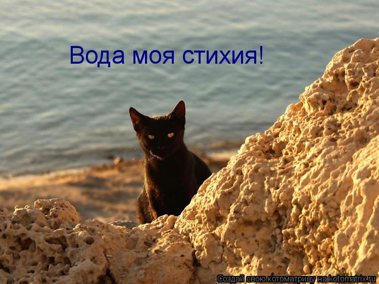 Котоматрица: Вода моя стихия!