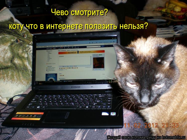 Котоматрица: Чево смотрите? коту что в интернете полазить нельзя?