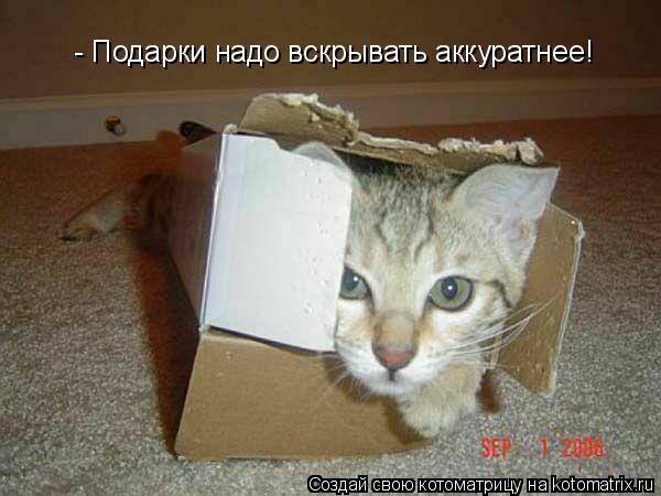 Котоматрица: - Подарки надо вскрывать аккуратнее!