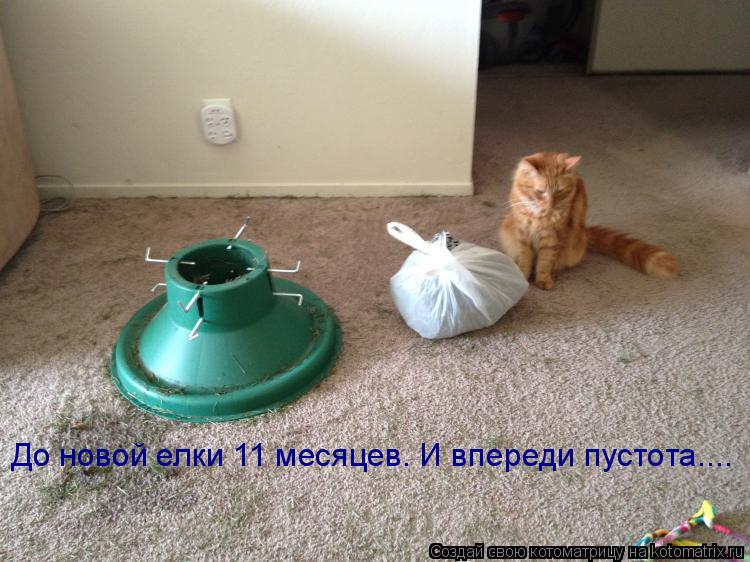 Котоматрица: До новой елки 11 месяцев. И впереди пустота....