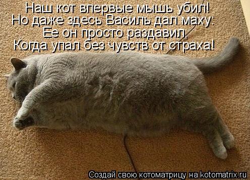 Наш кот впервые мышь убил! Но даже здесь Василь дал маху: Ее он просто раздавил, Когда упал без чувст... Котоматрица: Наш кот впервые мышь убил! Но даже здесь Василь дал маху: Ее он просто раздавил, Когда упал без чувств от страха!