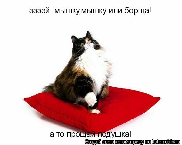 Котоматрица: ээээй! мышку,мышку или борща! а то прощай подушка!