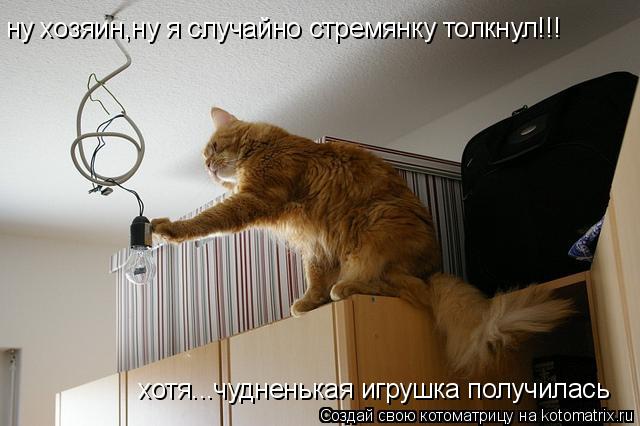 Котоматрица: хотя...чудненькая игрушка получилась ну хозяин,ну я случайно стремянку толкнул!!!