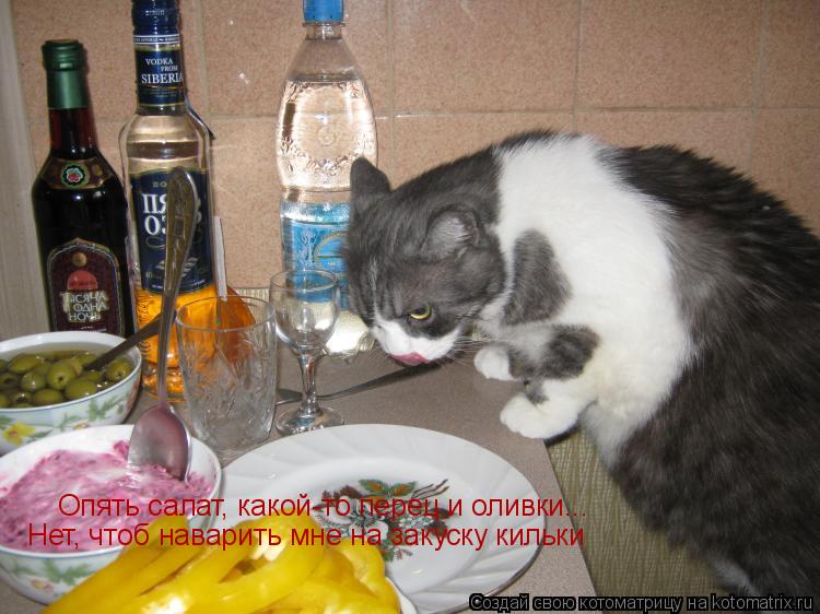 Котоматрица: Опять салат, какой-то перец и оливки... Нет, чтоб наварить мне на закуску кильки
