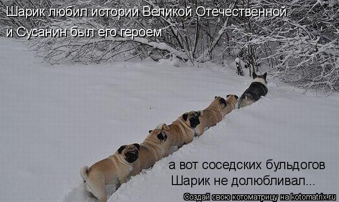 Котоматрица: Шарик любил истории Великой Отечественной и Сусанин был его героем а вот соседских бульдогов  Шарик не долюбливал...