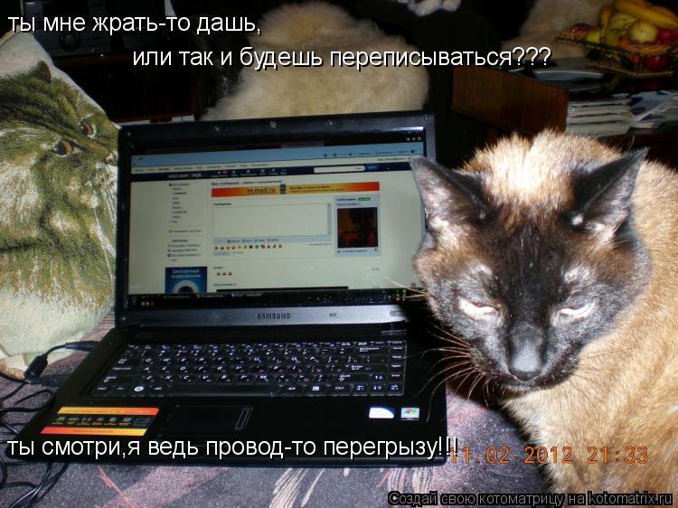 Котоматрица: ты мне жрать-то дашь, или так и будешь переписываться??? ты смотри,я ведь провод-то перегрызу!!!