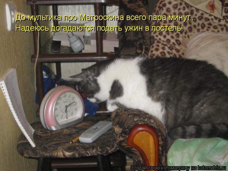 Котоматрица: До мультика про Матроскина всего пара минут... Надеюсь догадаются подать ужин в постель!