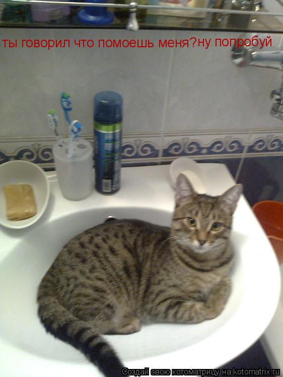 Котоматрица: ты говорил что помоешь меня? ну попробуй