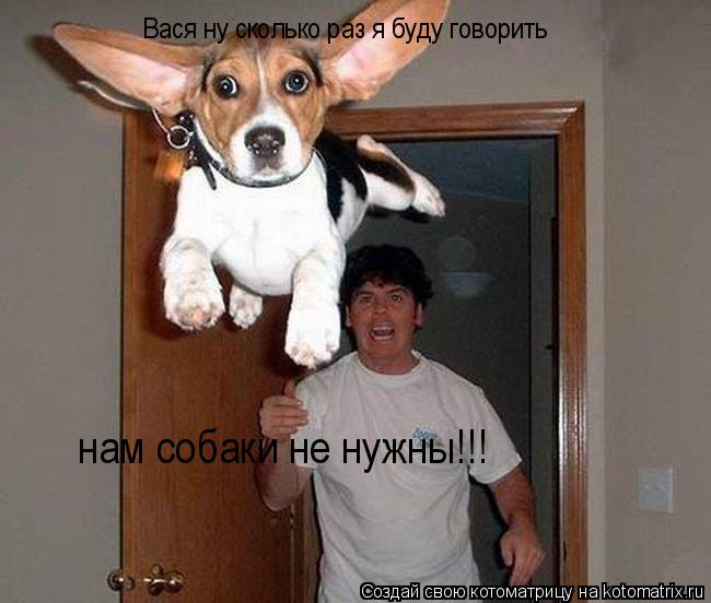 Котоматрица: Вася ну сколько раз я буду говорить нам собаки не нужны!!!