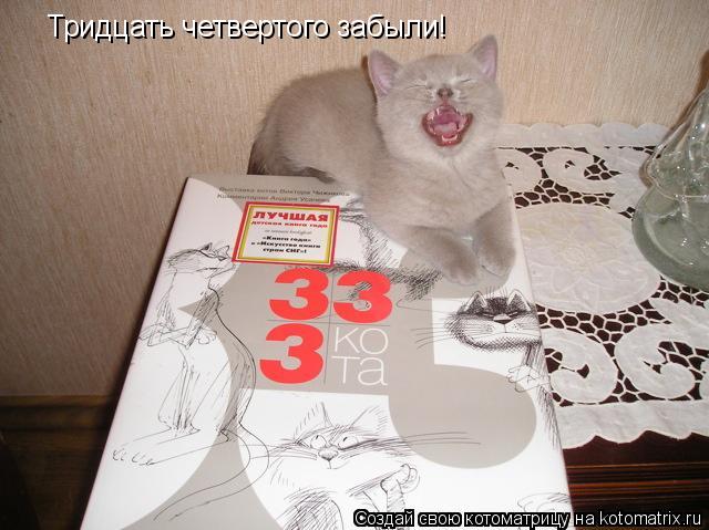 Котоматрица: Тридцать четвертого забыли!