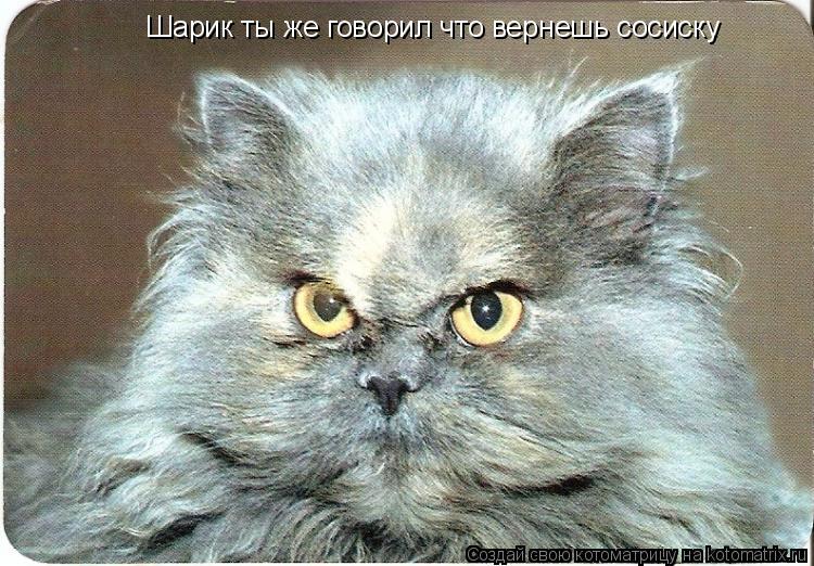 Котоматрица: Шарик ты же говорил что вернешь сосиску