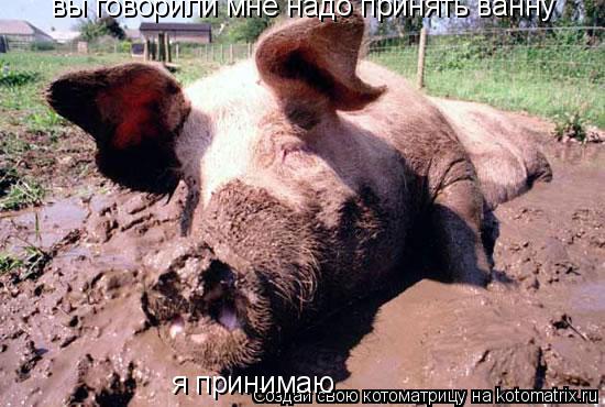 Котоматрица: вы говорили мне надо принять ванну я принимаю