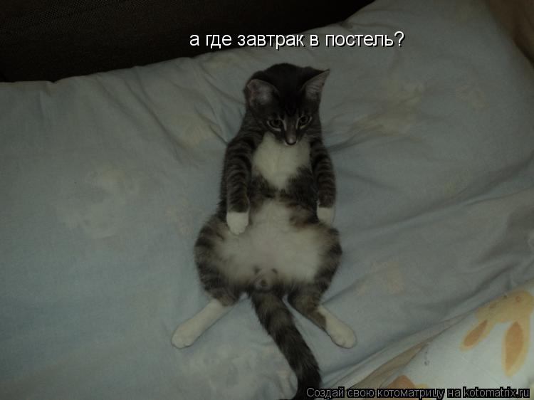Котоматрица: а где завтрак в постель?