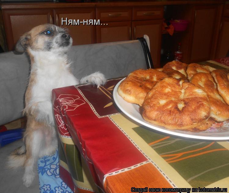 Котоматрица: Ням-ням...