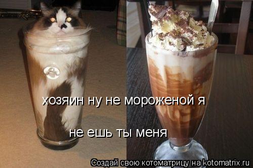 Котоматрица: хозяин ну не мороженой я не ешь ты меня